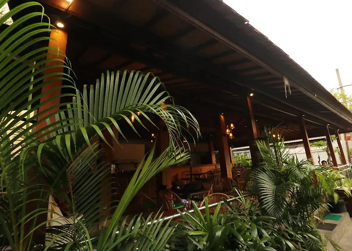 Mina Pelasa 3* Legian
